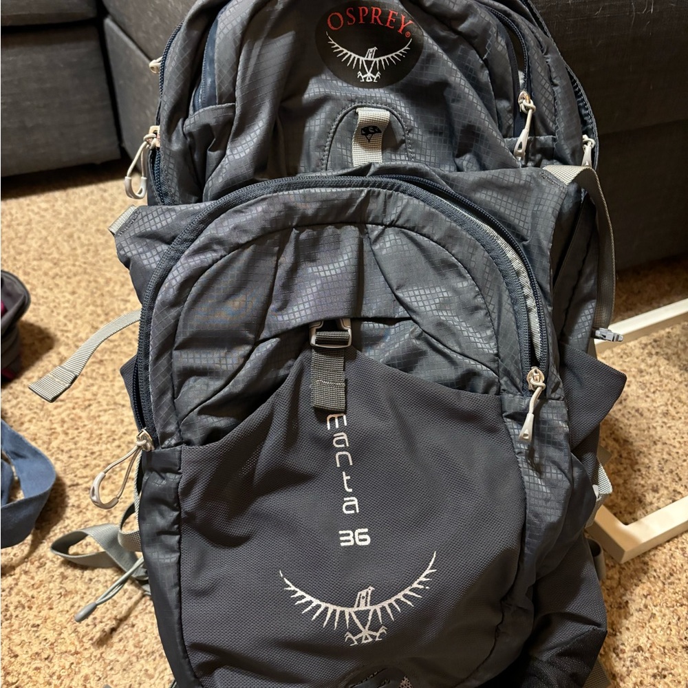 Men’s Osprey Manta 36 backpack